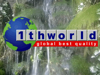 1THWORLD BEST QUALITY GLOBAL - click to enter store